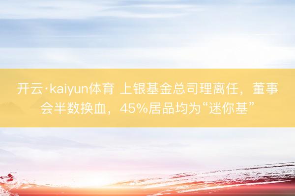 开云·kaiyun体育 上银基金总司理离任，董事会半数换血，45%居品均为“迷你基”