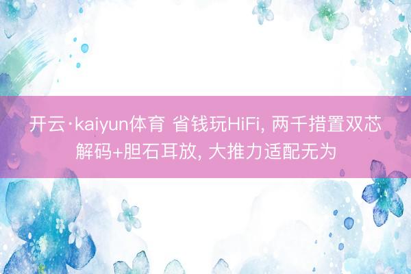 开云·kaiyun体育 省钱玩HiFi, 两千措置双芯解码+胆石耳放, 大推力适配无为