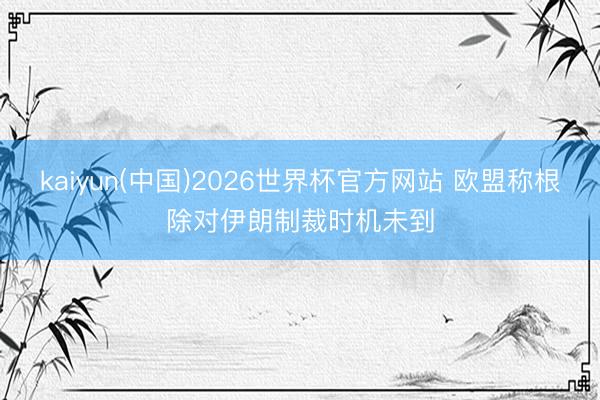 kaiyun(中国)2026世界杯官方网站 欧盟称根除对伊朗制裁时机未到